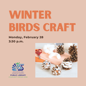Winter Birds Craft